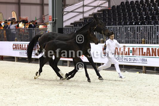 PRINCESS LIESA_MILANO_2010_SS3_7442.jpg